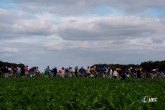 2024 UEC Road European Championships - Limburg - Flanders - Men Elite Road Race 222,8 km - 15/09/2024 -  - photo Luca Bettini/SprintCyclingAgency?2024